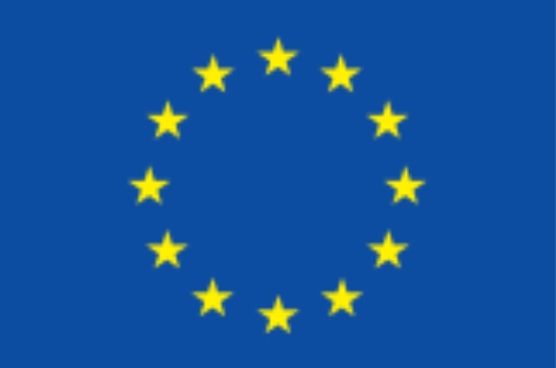 EU Flag